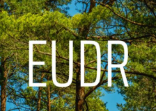 The Finnish forestry sector is preparing to comply with the EUDR