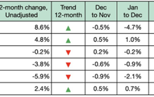 U.S. softwood prices rise for second month, hardwood market stabilizes