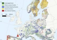 Climate-driven forest disturbances could slash Europe’s timber value by up to 42%