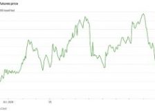 US lumber prices hit 2025 low