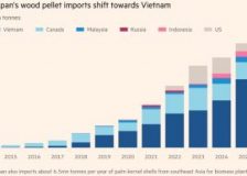 Drax wood pellets outlook hit as Japan curbs subsidies
