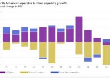 Forecast: North American lumber market adjusts to lower operating capacity