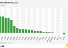 EU forest growth exceeds harvesting levels