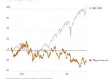 Logging meets AI as Weyerhaeuser chases $1 billion gains by 2030