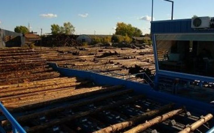 Russian Titan Group increases production at Sawmill 25