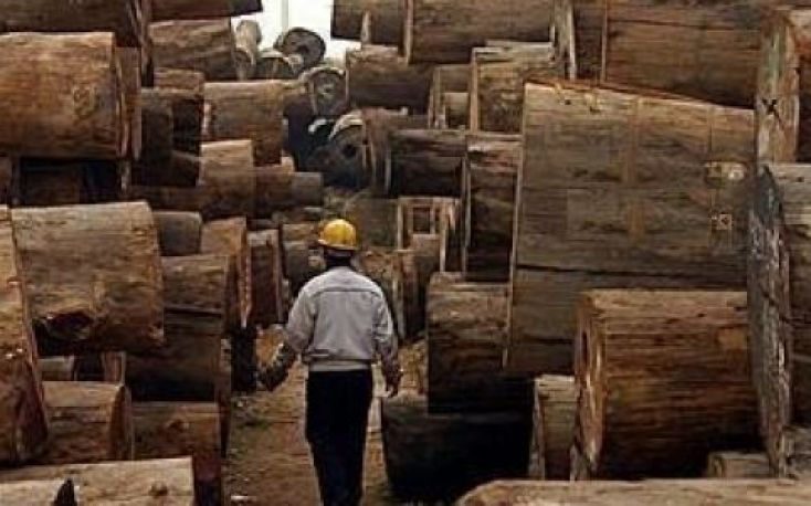 EU tropical timber trade weakened before COVID lockdown