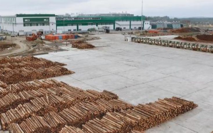 Russian timber industry in search for new markets