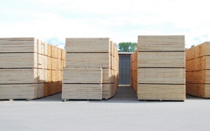 Bark beetle blue timber not well received on the European market