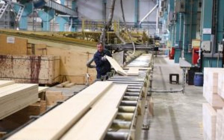 Western forestry companies sold 13 plants in Russia since beginning of war in Ukraine