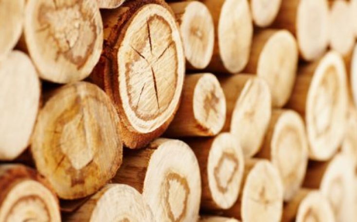 Low supply for raw materials affects the European sawn hardwood sector