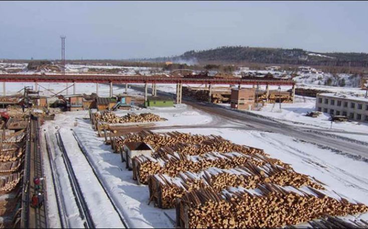 Russian timber industry under pressure due to mild winter