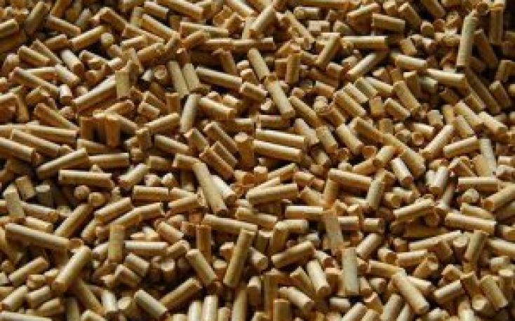 Russian wood pellets might enter EU via Turkey, avoiding ban