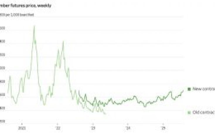 Lumber prices hit a three-year high amid tariff surge and tight supply