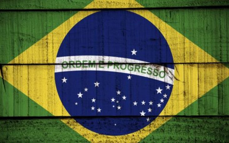 Sharp fall in Brazilian hardwood products in the past decade