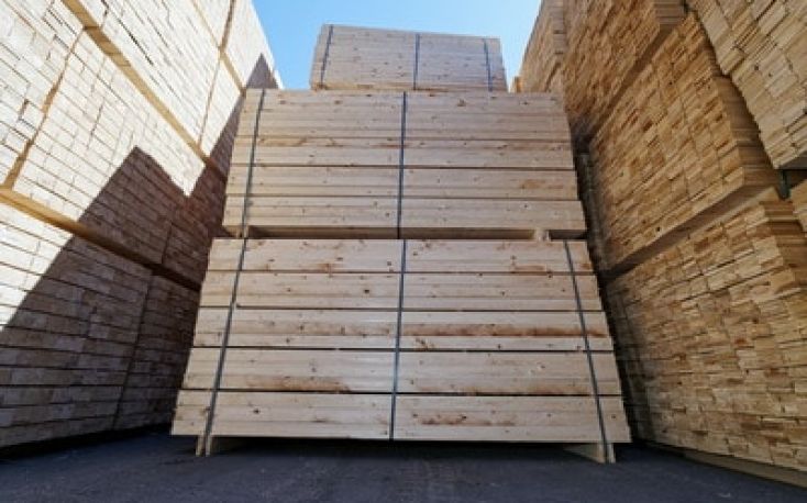 Latvia’s forest industry faces challenges in 2023: declining export revenue and sanctions impact