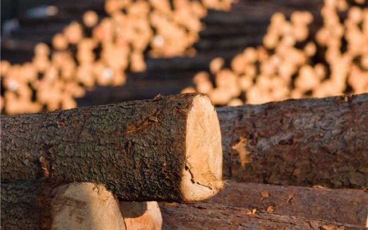 Finland imports of wood chips and logs from Russia fell from record to zero