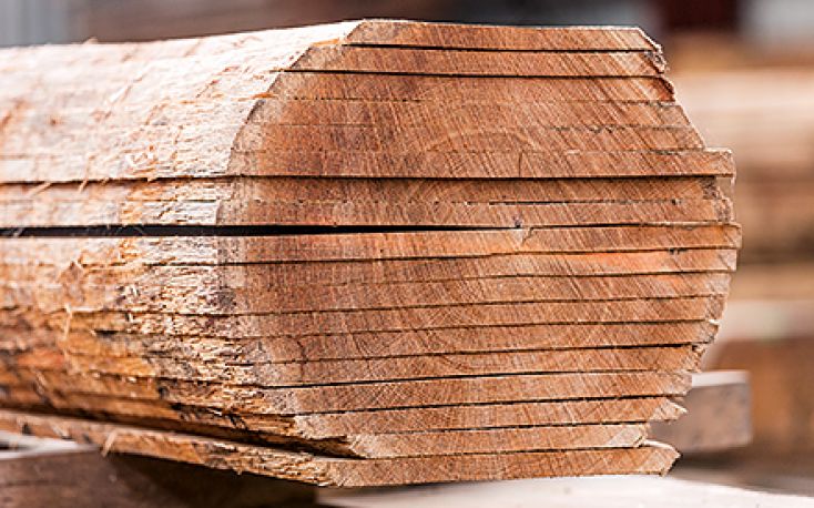 Netherlands boosts imports of wood products