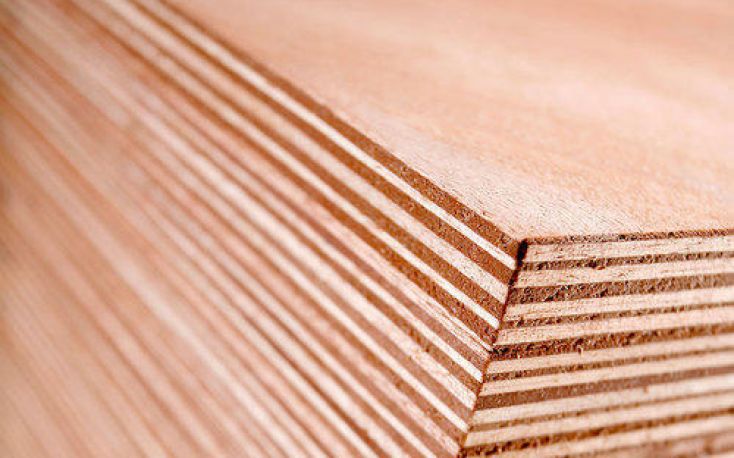 EU plywood trade with China disturbed by domestic environmental controls