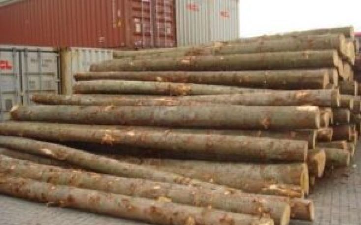 Germany: Spruce log price index shows an upward trend