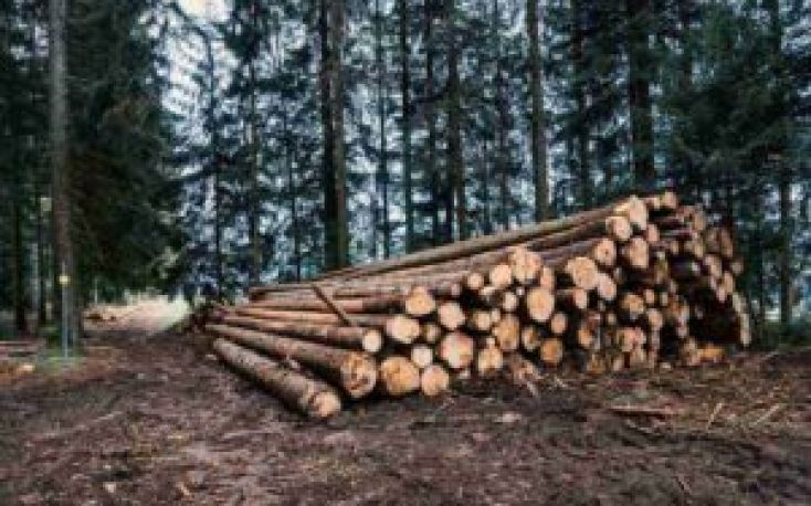 Austria criticizes ”restrictive” EU forest regulations