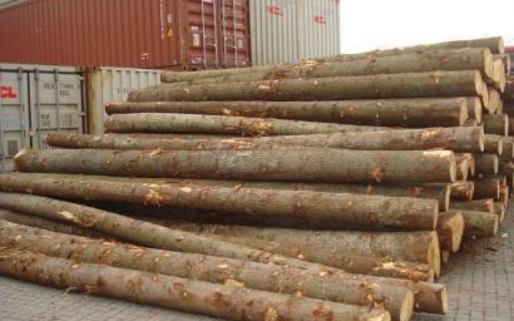 Finland: Sharp rise in sawlog prices in May