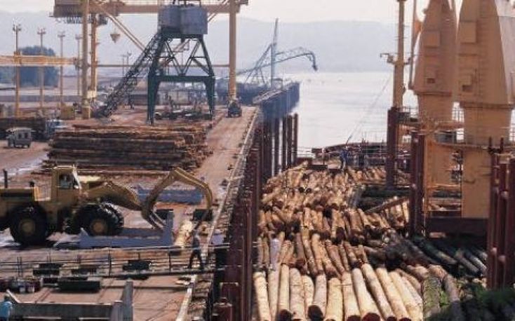 China: Imported timber prices fall as construction activity is slow