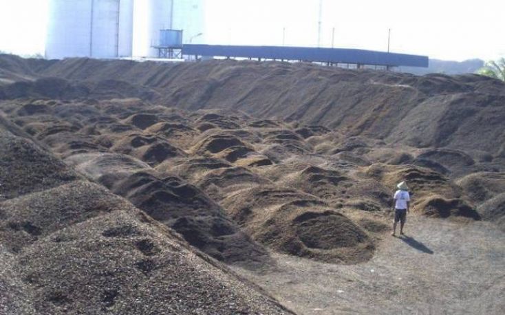 Biomass energy is carbon neutral, EPA declares