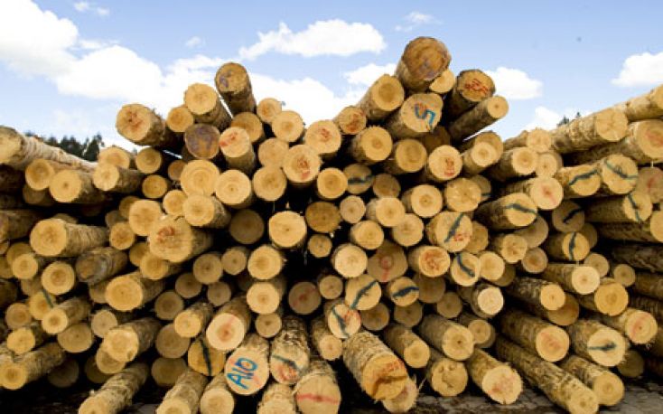 Roundwood demand and prices in Finland go up