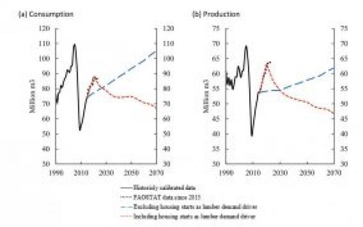 US lumber demand seen falling up to 40% in the next decades