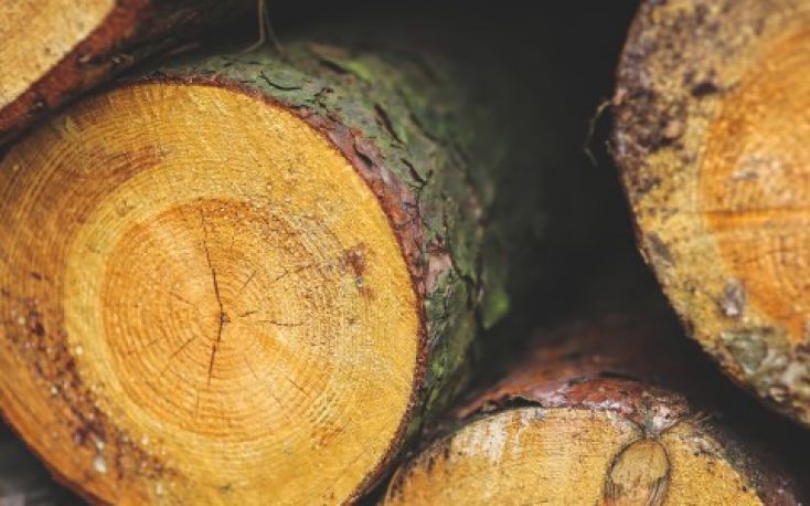 Negative performance for the US forest products industry