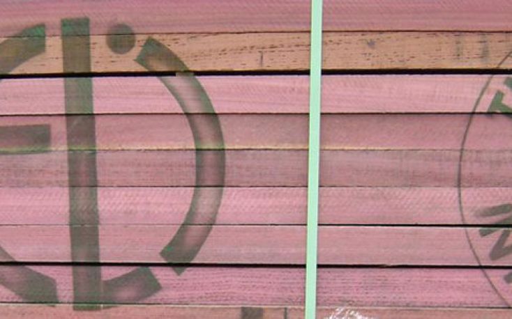 Timberlink wants to invest massively at its sawmills in Australia