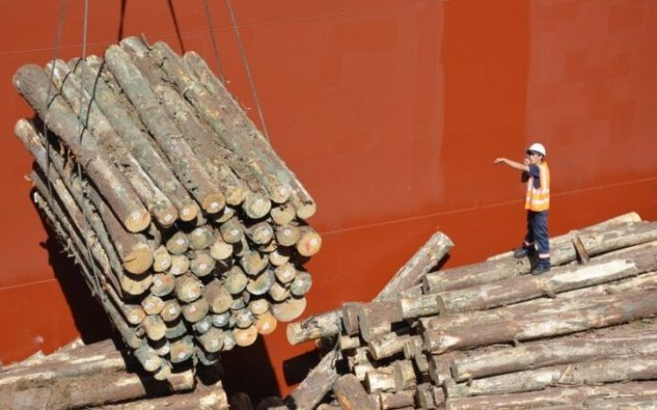 China: Quarantine requirements on imported pine logs and lumber came into force
