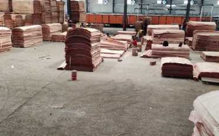 40% of Chinese factories in Gabon have ceased production