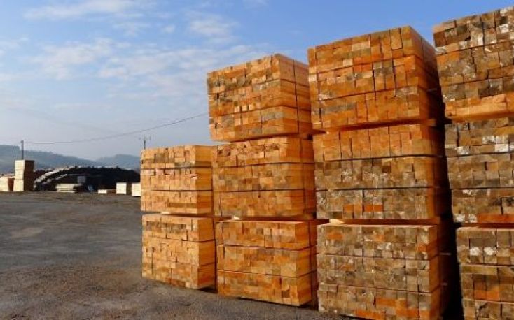 France: Lumber prices drop in Q4/2022
