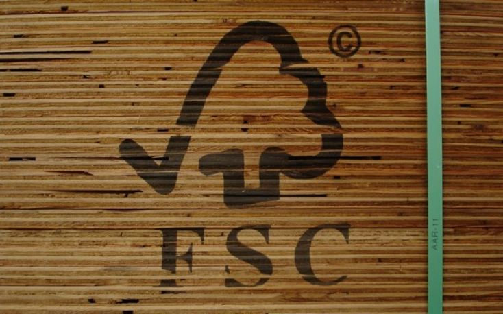 Record area of FSC certified forests in Russia