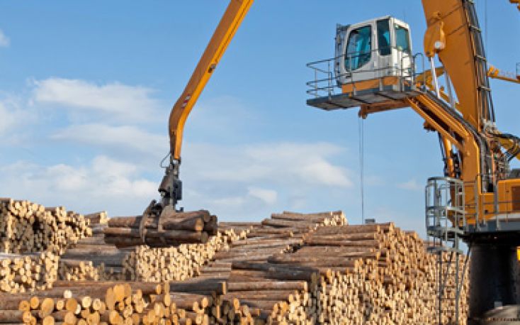 RFP Group plans to build wood processing plant in Russia’s Far East