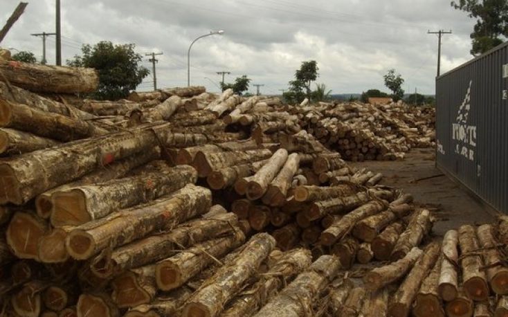 India: Latest prices for teak, sawnwood and plywood