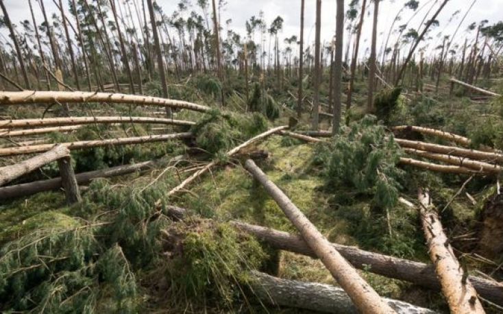Lumber prices jump as storm blocks BC’s roads and rail