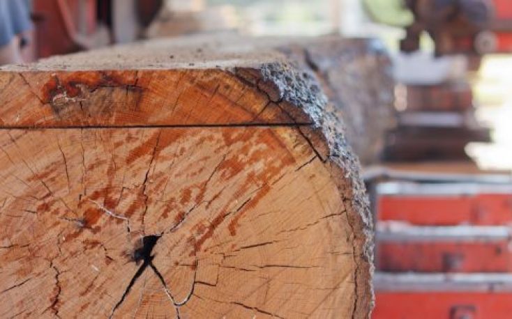 Low impact of corona crisis on the Latvian sawmill industry