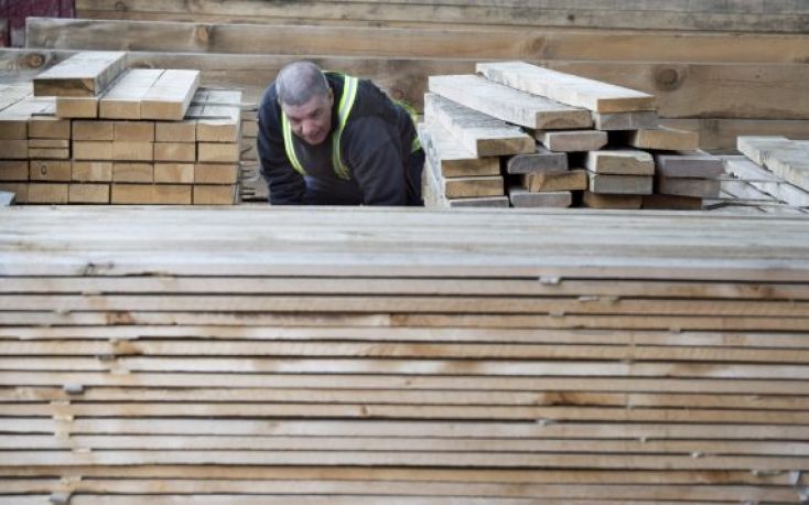 US lumber prices surge as housing starts unexpectedly rise