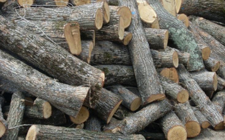Firewood shortages in France are pushing up the price of logs