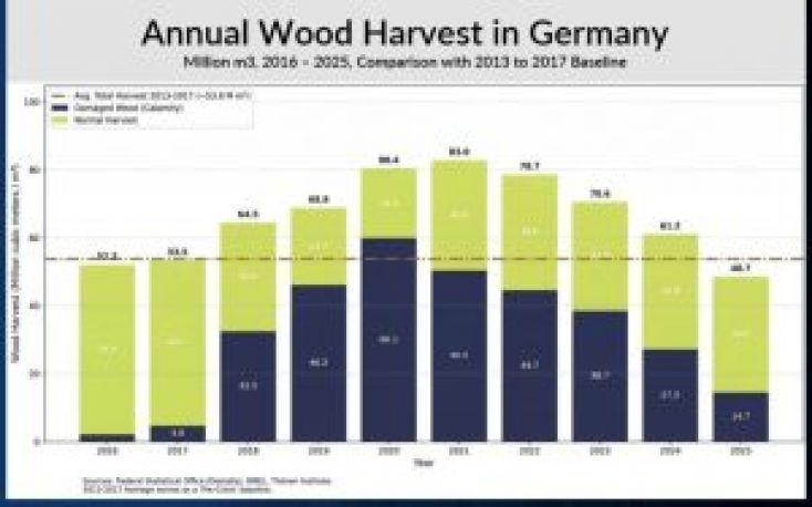 Low wood availability in Germany
