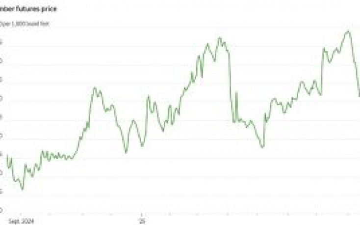 Lumber prices weaken further this month