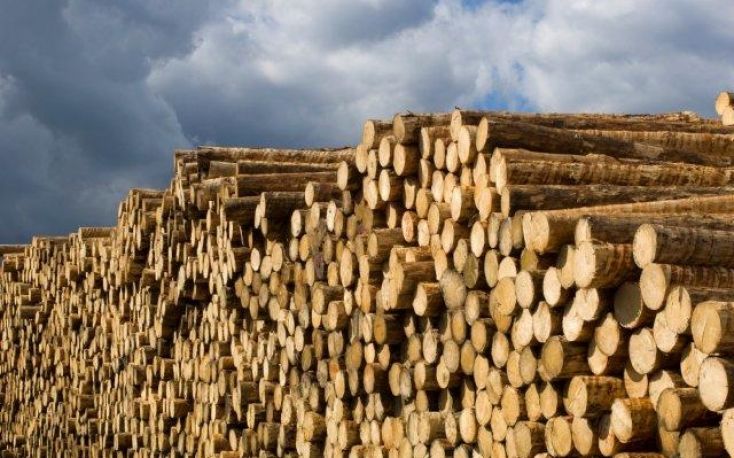 Shard drop in roundwood prices in Latvia
