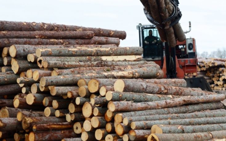 Is there a shortage of wood in Europe?