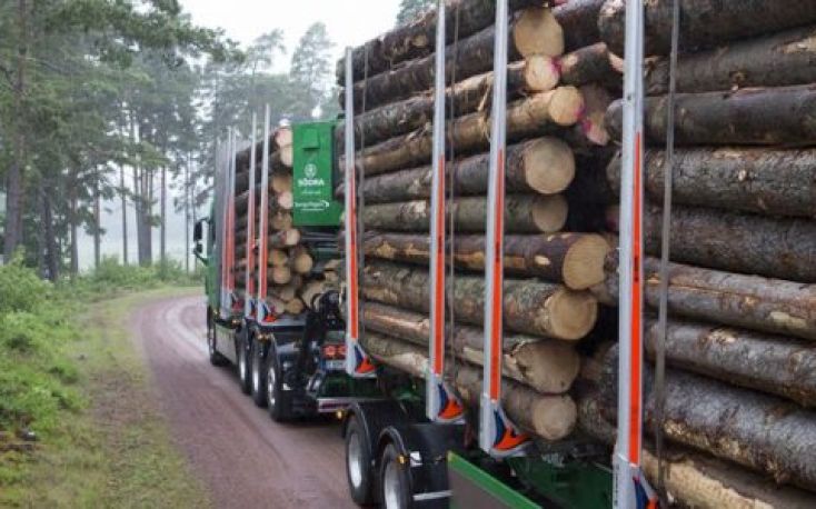 Södra increases timber prices
