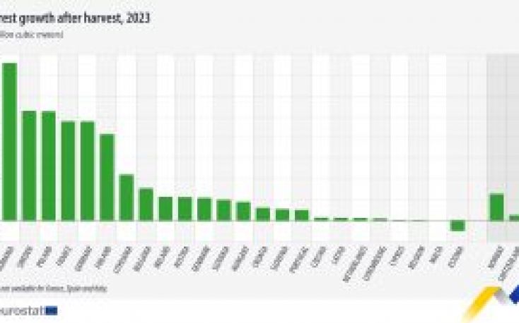 EU forest growth exceeds harvesting levels