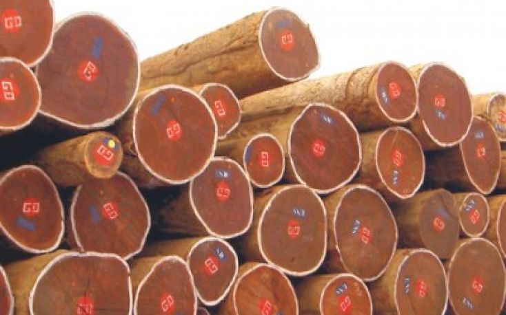 Central Africa: Log export ban postponed indefinitely