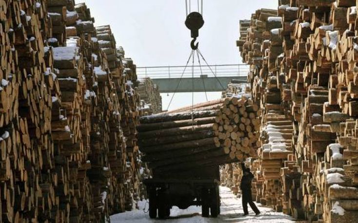 Large timber importer from China to invest in Belarusian wood processing sector