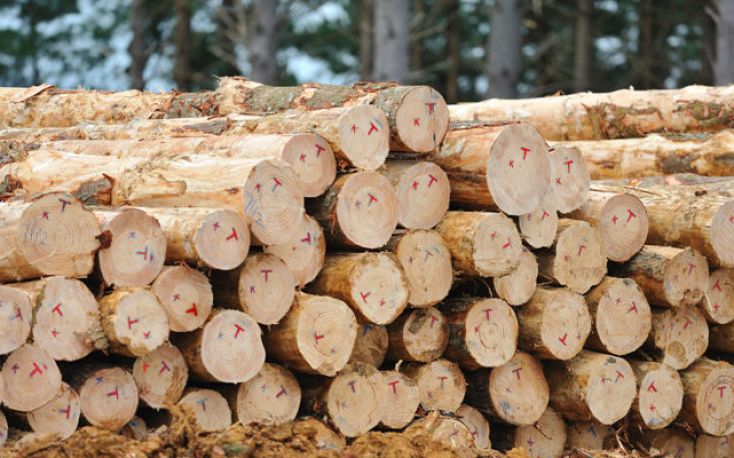 New Zealand’s log export prices continue to fall due to low demand in China
